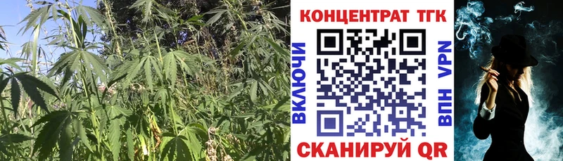 ТГК гашишное масло  Бронницы 
